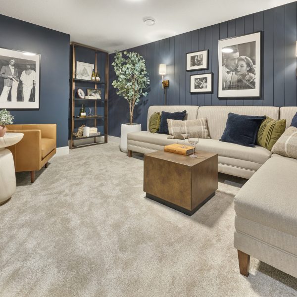 Basement of Jayman BUILT's Benjamin Villa showhome