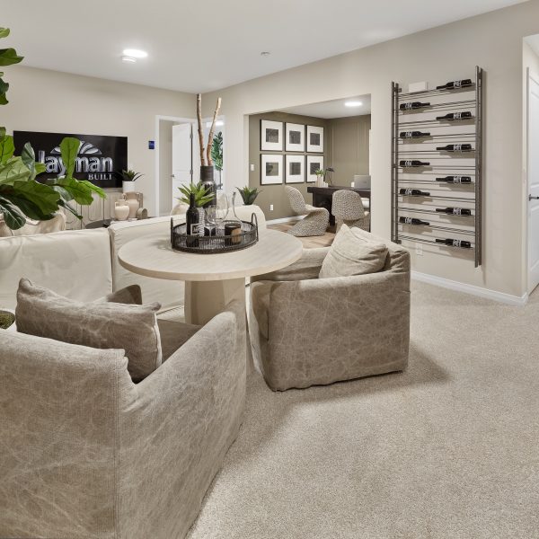 Basement in Jayman BUILT's Parker villa bungalow showhome