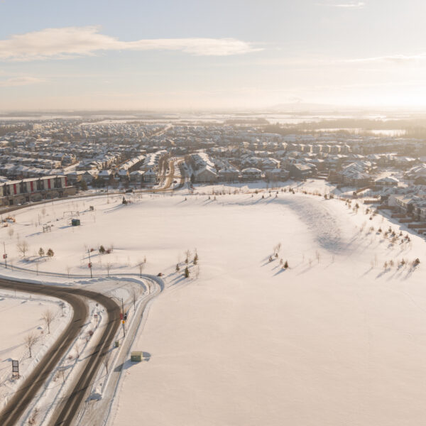 Aerial view of homes backing onto a winter forest edge in Trumpeter by Big Lake, Edmonton, Alberta.
