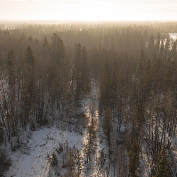 Aerial view of a dense treed area beside a snow covered clearing in Trumpeter by Big Lake, Edmonton, Alberta.