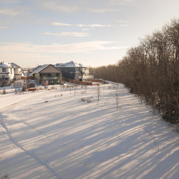 Snow covered open space beside a forested area and nearby homes in Trumpeter by Big Lake, Edmonton, Alberta.