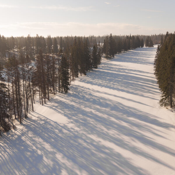 Aerial view of a snow covered tree lined corridor in Trumpeter by Big Lake, Edmonton, Alberta.