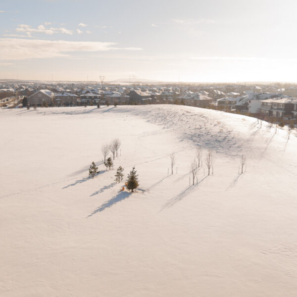 Aerial view of a large snow covered open space bordered by homes in Trumpeter by Big Lake, Edmonton, Alberta.